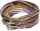 Wiring harness Ecumaster EMU Black, me print, shumëngjyrëshe