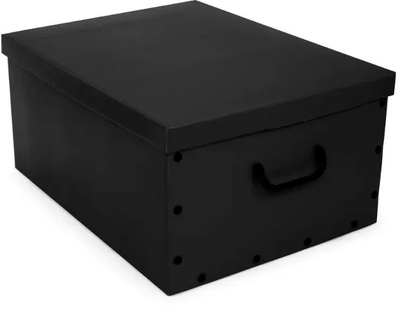 Kuti ruajtjeje BIG BOX SOLID COLORS, 49x39x25 cm, karton, me doreza plastike